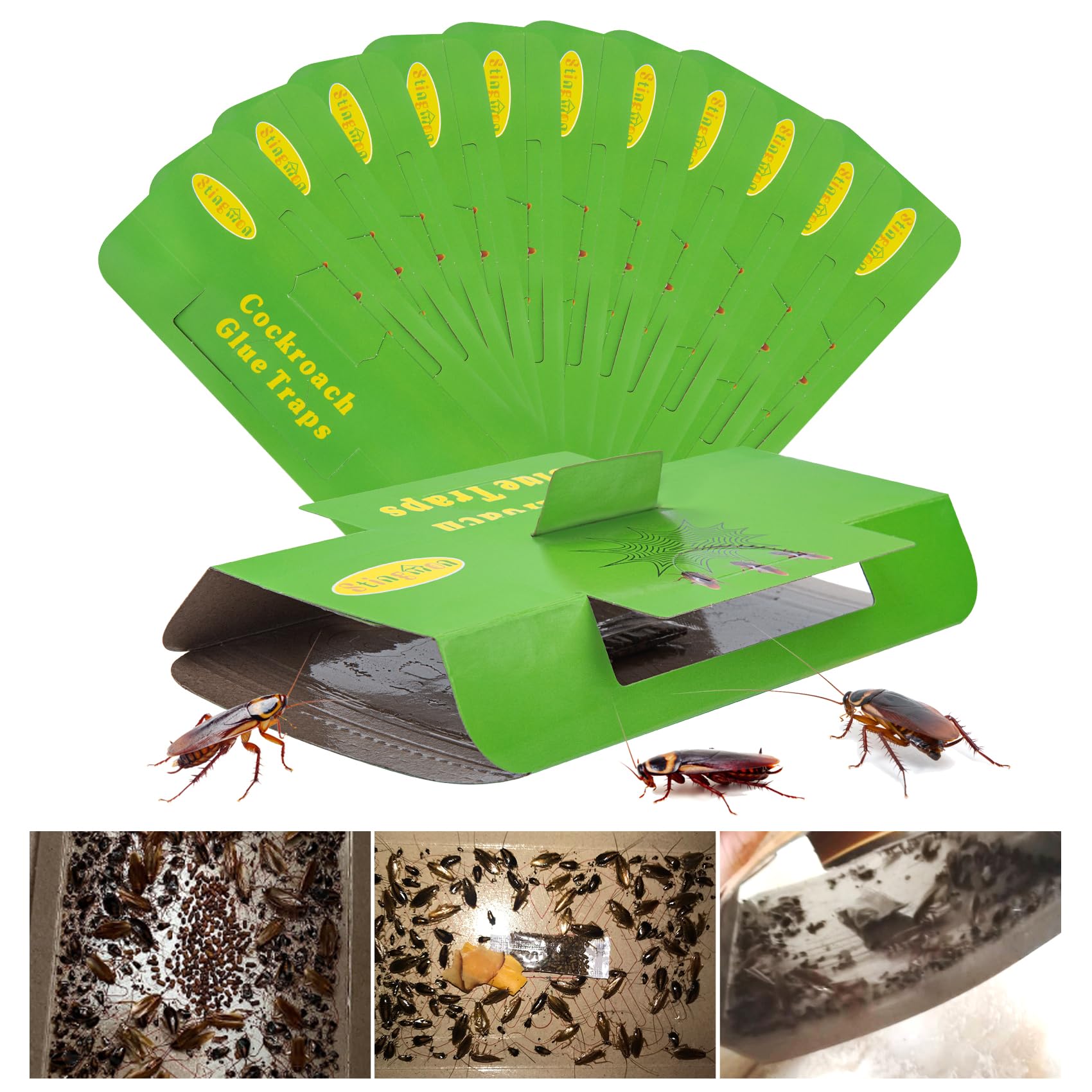 Amazon.com : 18 Pcs Cockroach Killer Indoors Home Roach Traps